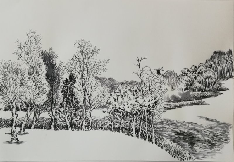 幸福原创画吧(7月24日)画友习作分享