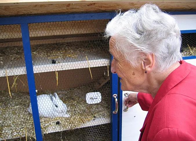 三伏天人都受不了，养兔人这个夏天怎样给兔兔降温？