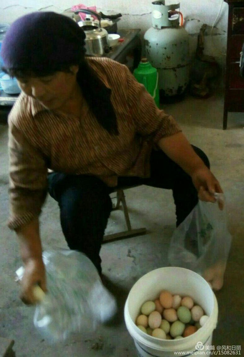 淄川哪有卖散养鸡,淄川三台山散养公鸡