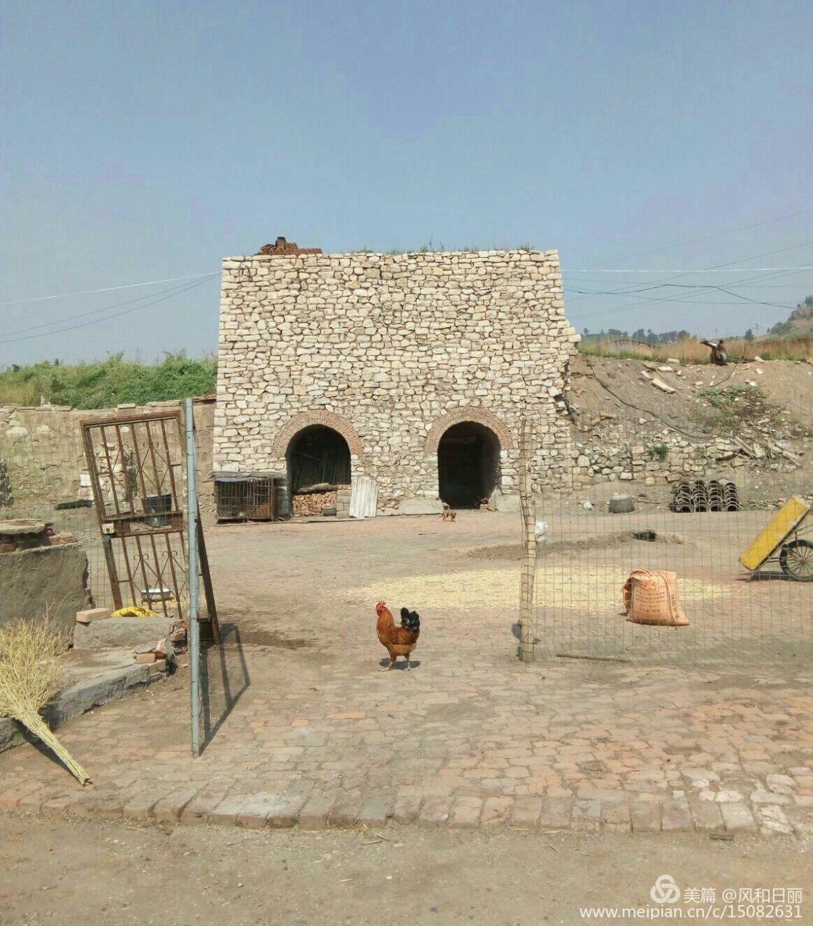 淄川哪有卖散养鸡,淄川三台山散养公鸡