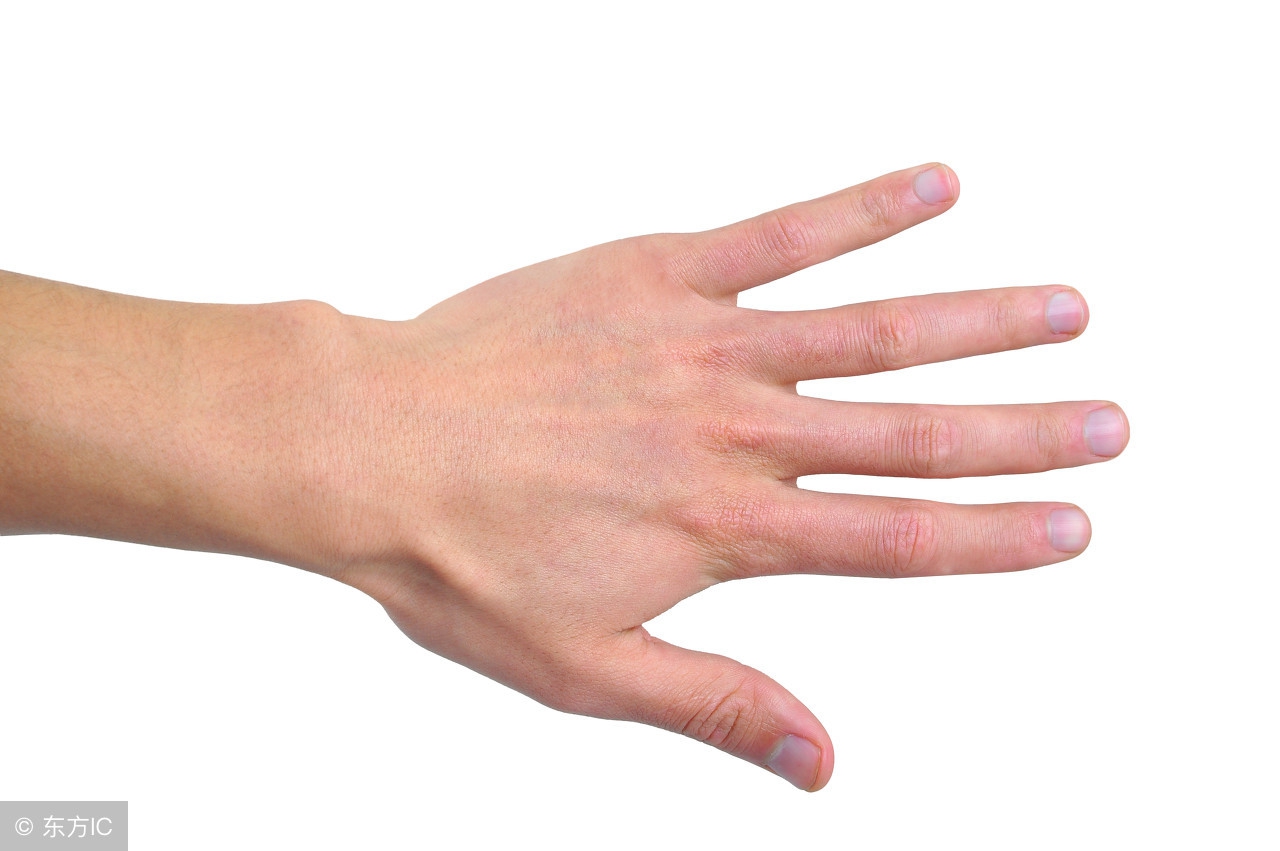 身体4个部位“青筋”凸出明显,可能预示健康有恙,请多加注意