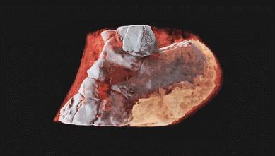 新西兰人为什么强壮,新西兰人这么懒为什么还这么富有