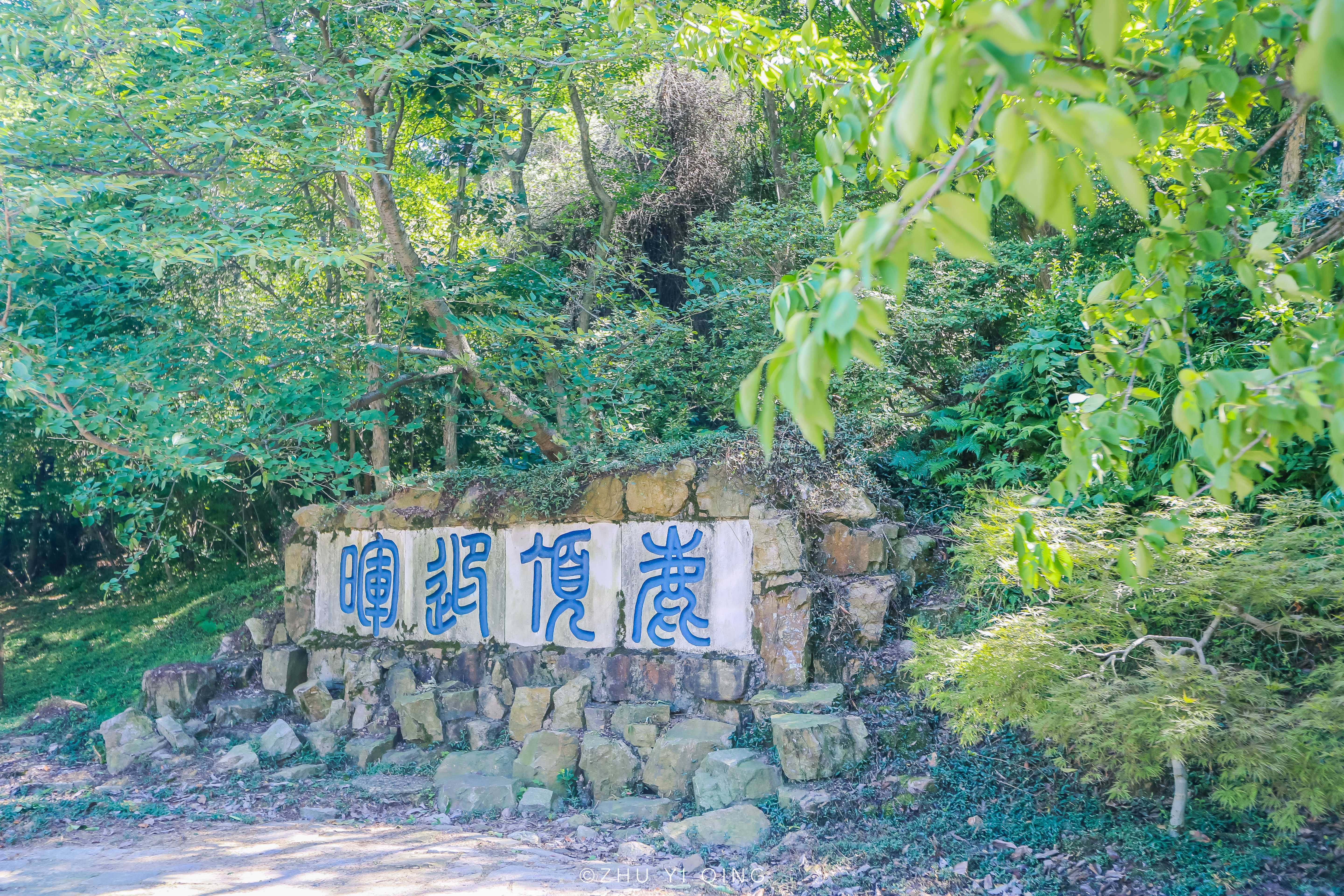 去太湖一般先去哪个景区,去了太湖的感受