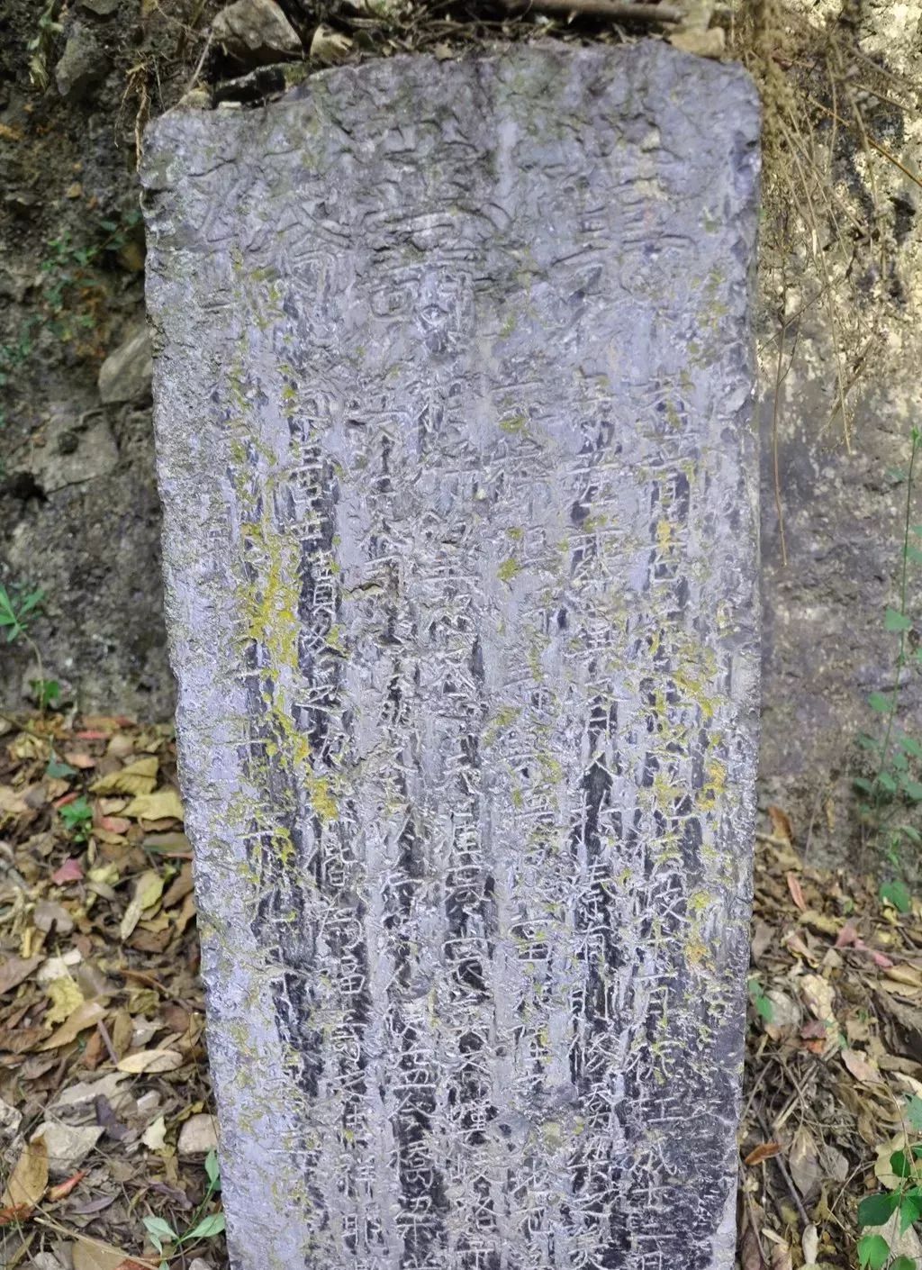 凉山金阳的旅游景点都有哪些,凉山超美自然景观