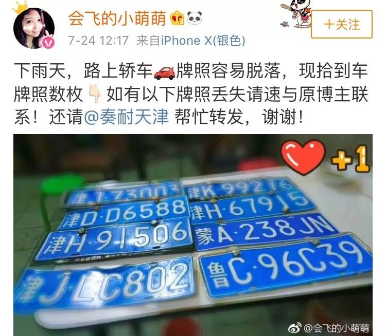 牌照丢失怎么可以找回来,牌照丢有人拾起吗