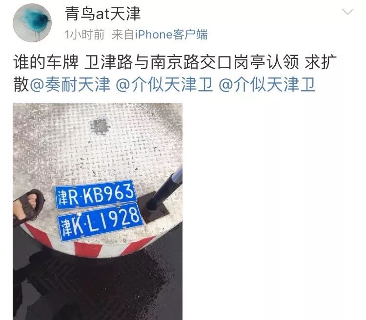 牌照丢失怎么可以找回来,牌照丢有人拾起吗