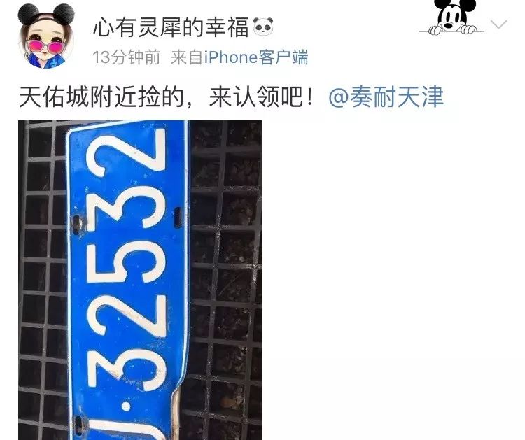 牌照丢失怎么可以找回来,牌照丢有人拾起吗