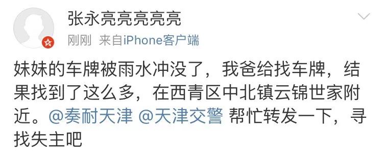 牌照丢失怎么可以找回来,牌照丢有人拾起吗