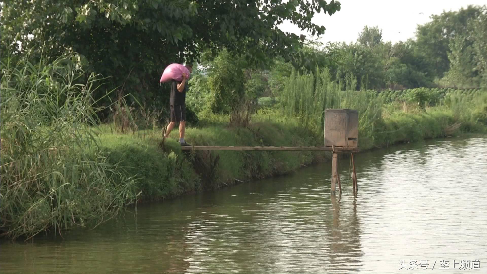 水产养殖遇高温怎么办,高温水产养殖大量死亡原因