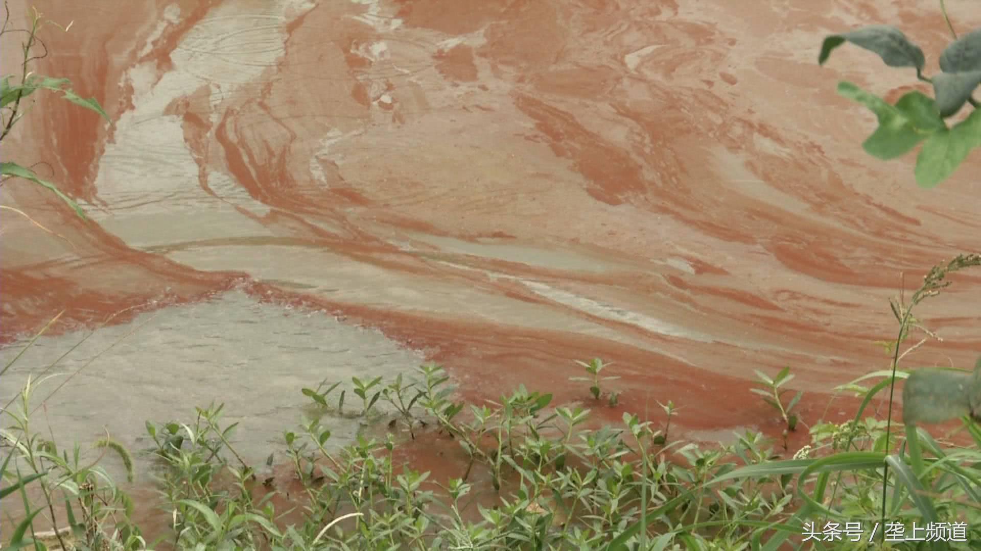 水产养殖遇高温怎么办,高温水产养殖大量死亡原因