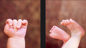 家有小公举完整视频,家有小公举