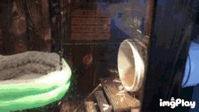 暑期去新澳海底世界,暑假去哪玩海底世界