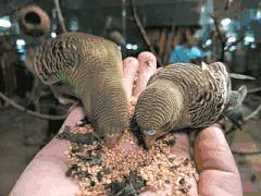 暑期去新澳海底世界,暑假去哪玩海底世界