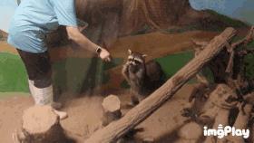 暑期去新澳海底世界,暑假去哪玩海底世界