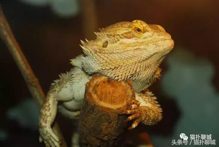 暑期去新澳海底世界,暑假去哪玩海底世界