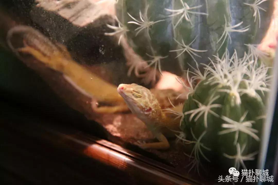 暑期去新澳海底世界,暑假去哪玩海底世界