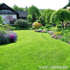 草坪景观设计,景观设计草坪如何做丰富