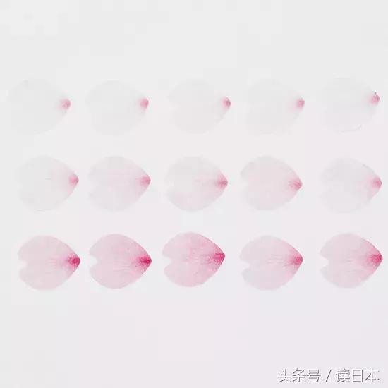 最好用的签字笔速干,日本笔最好用排名