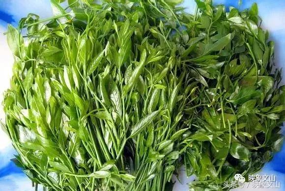 说实话生活,说实话还是在老家安逸