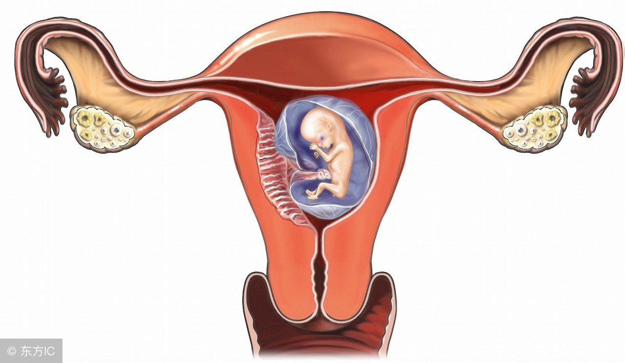 怀孕流产后，这个时间段别“同房”，男女都该注意！