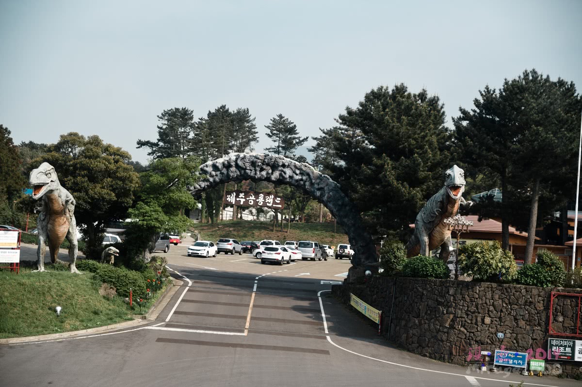 济州岛免税店怎么买便宜,济州岛购物啥最便宜