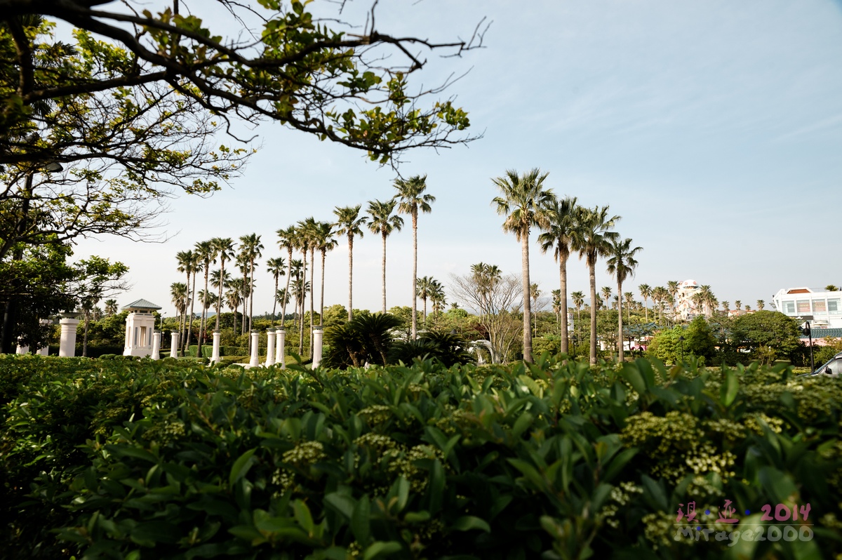 济州岛免税店怎么买便宜,济州岛购物啥最便宜