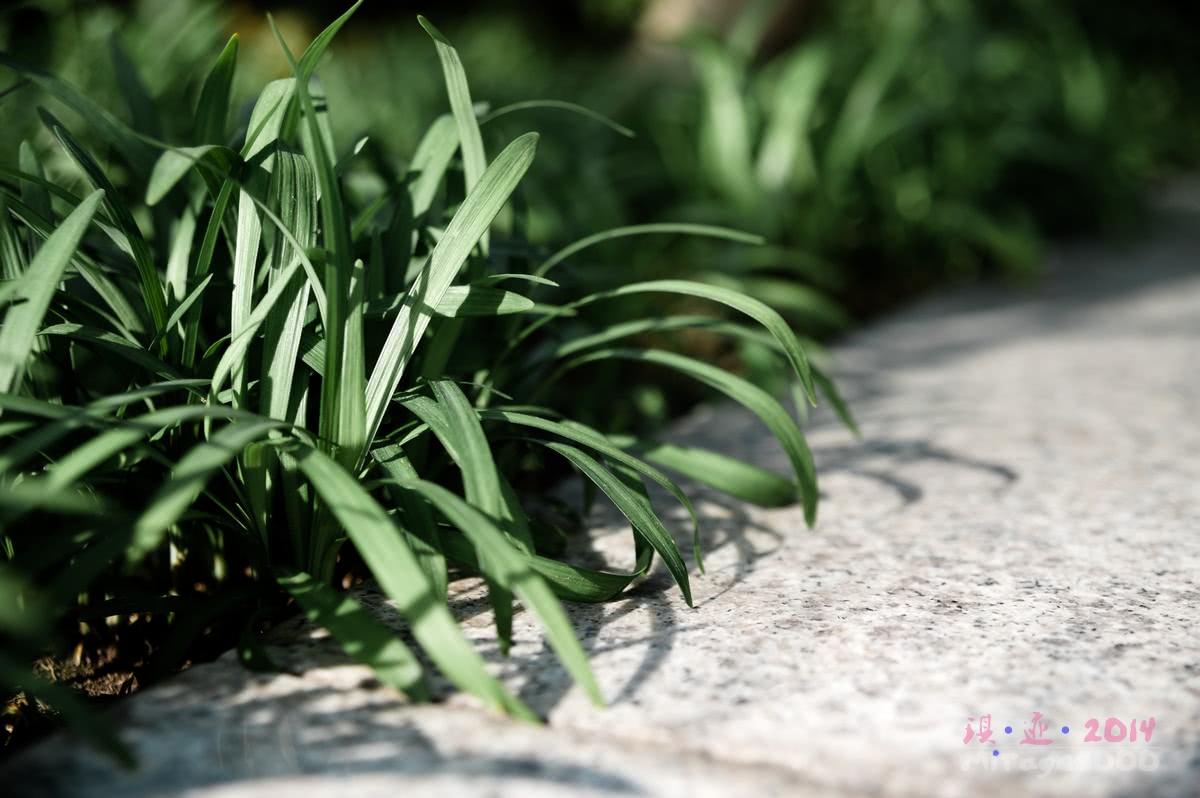 济州岛免税店怎么买便宜,济州岛购物啥最便宜