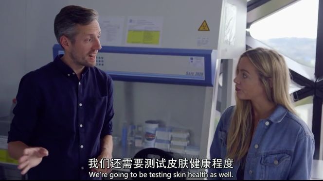 平价面霜与贵妇面霜,bbc面霜和戴可思面霜哪个好用