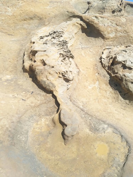 港澳台~台港澳也去过了，不带了写游记！有事问！