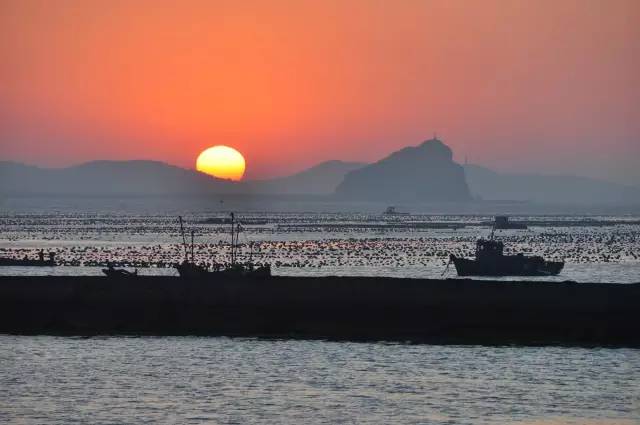 离沈阳比较近的海岛游推荐,不用签证可以去的岛屿