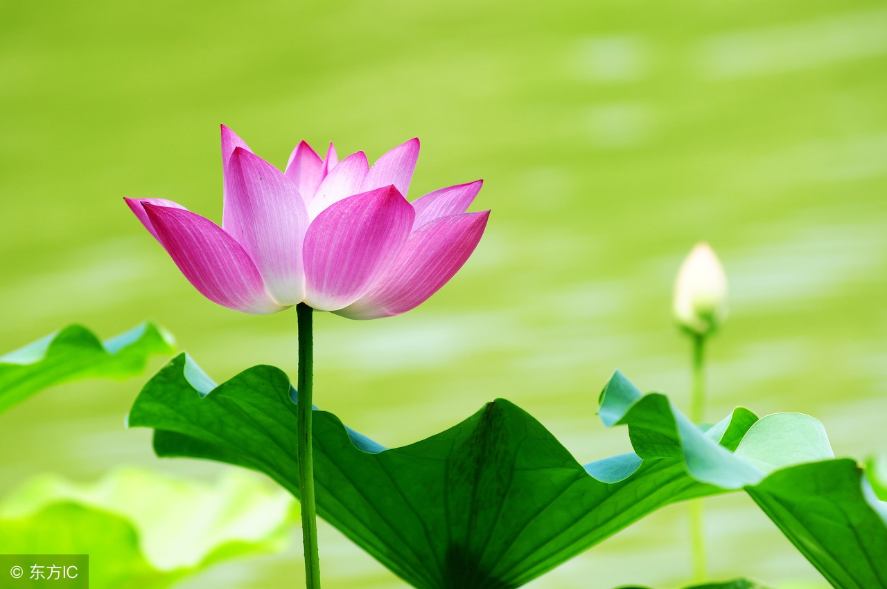 心情很糟糕的短文,心情不好的时候读一读深度好文