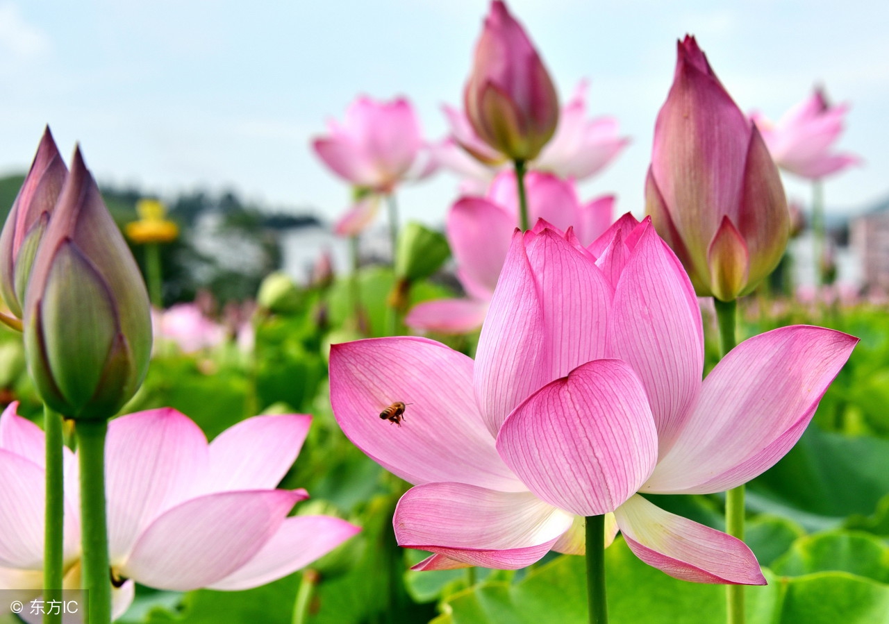 心情很糟糕的短文,心情不好的时候读一读深度好文