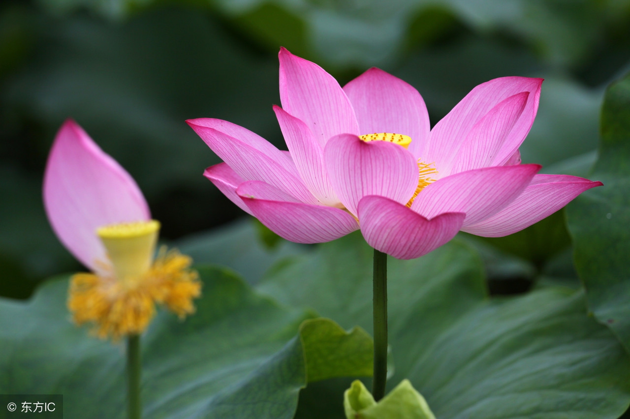 心情很糟糕的短文,心情不好的时候读一读深度好文