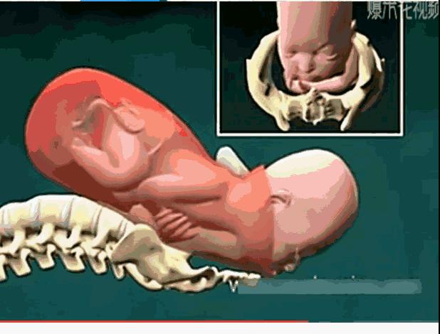 每个孕妇应该知道的关于宫缩的3大事实