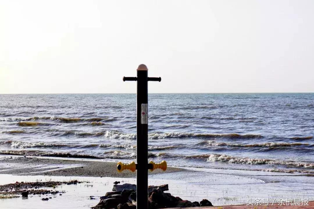 这个余杭人坐轮椅3年自驾游50个城市！他曾抱怨命运不公，直到……