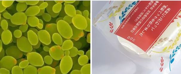 断货半年，抢都抢不到！荣登Cosme榜首，用完肌肤嫩到爆