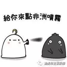 汽车贴膜一般用哪一种膜性价比高,汽车贴膜应该贴哪一款