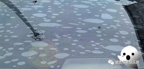 汽车贴膜一般用哪一种膜性价比高,汽车贴膜应该贴哪一款