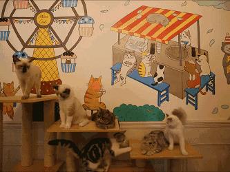 网红产品多只有实测才敢说,网红产品有哪些比较实用的