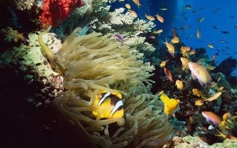 距离中国3000公里小岛,国内小众海岛堪比马尔代夫