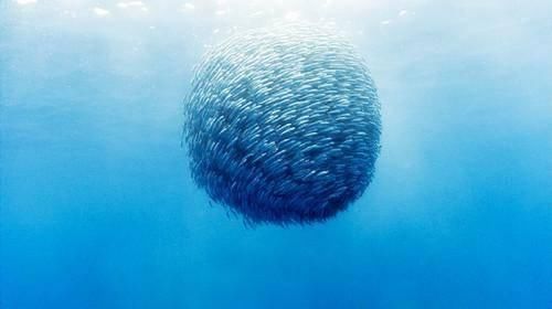 距离中国3000公里小岛,国内小众海岛堪比马尔代夫