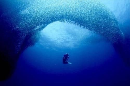 距离中国3000公里小岛,国内小众海岛堪比马尔代夫