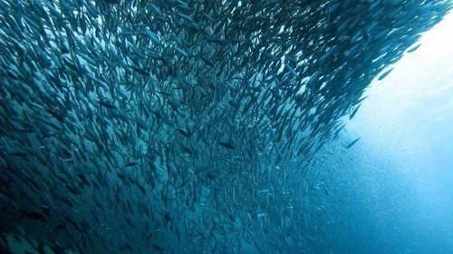 距离中国3000公里小岛,国内小众海岛堪比马尔代夫