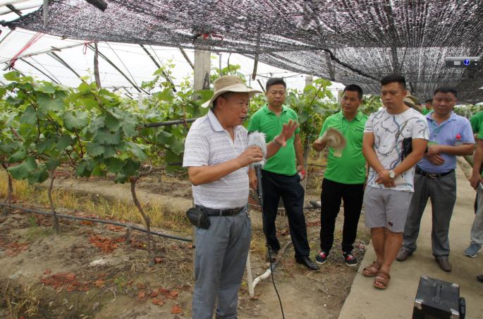 能百旺有什么增产套餐,能百旺百亿粮食增产计划