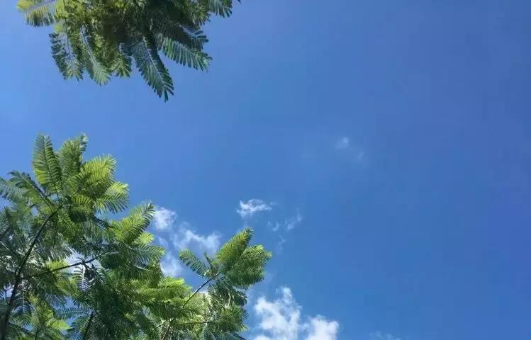 和梦里想的那个人去厦门……