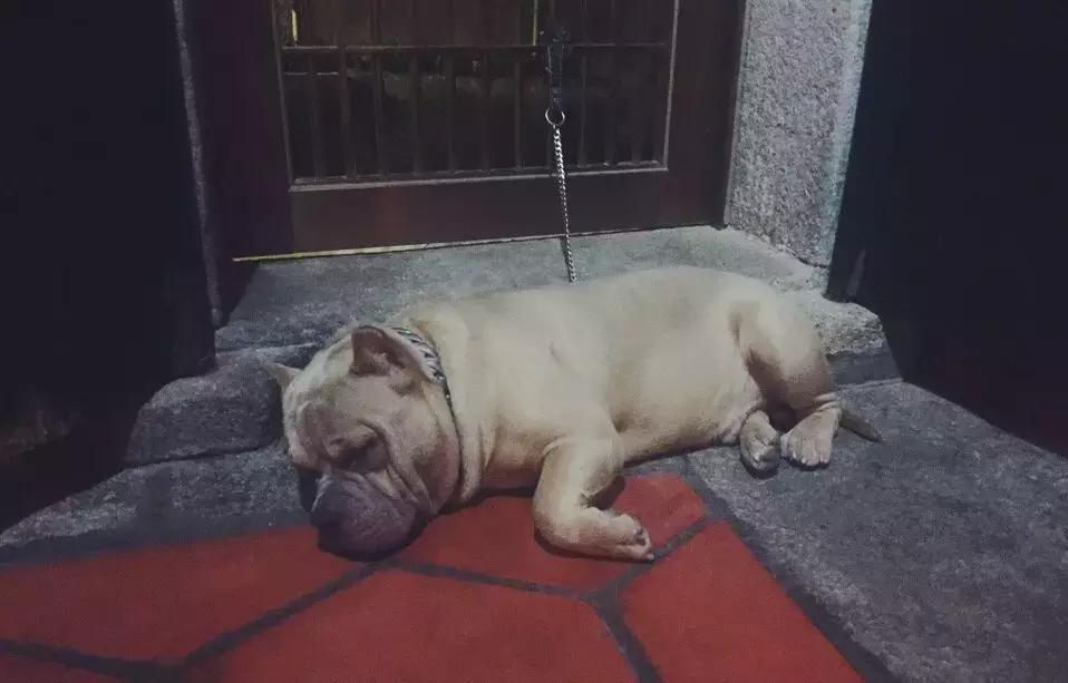 和梦里想的那个人去厦门……