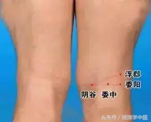 人体九大黄金穴位,人体九大黄金穴位图