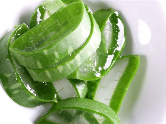 芦荟可以净化空气吗,家中种芦荟利风水吗