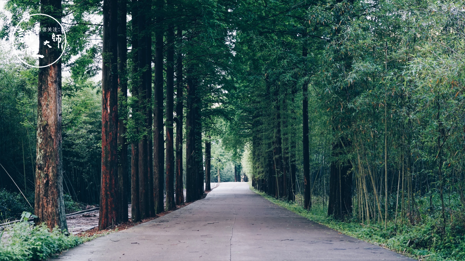 青春旅社王源选秋老师,青春旅社王源莫干山