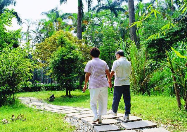 身体里的血液浓稠怎么办,如何改善血液粘稠和血管堵塞